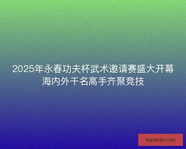 2025年永春功夫杯武术邀请赛盛大开幕海内外千名高手齐聚竞技