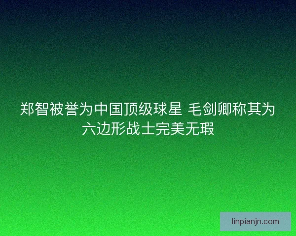 郑智被誉为中国顶级球星 毛剑卿称其为六边形战士完美无瑕