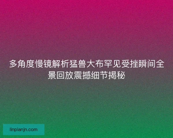 多角度慢镜解析猛兽大布罕见受挫瞬间全景回放震撼细节揭秘